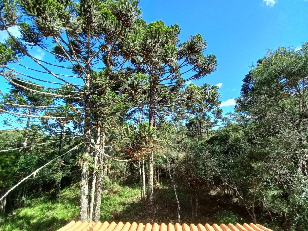 Cabana Na Floresta Rincao Do Fortaleza Cambará エクステリア 写真