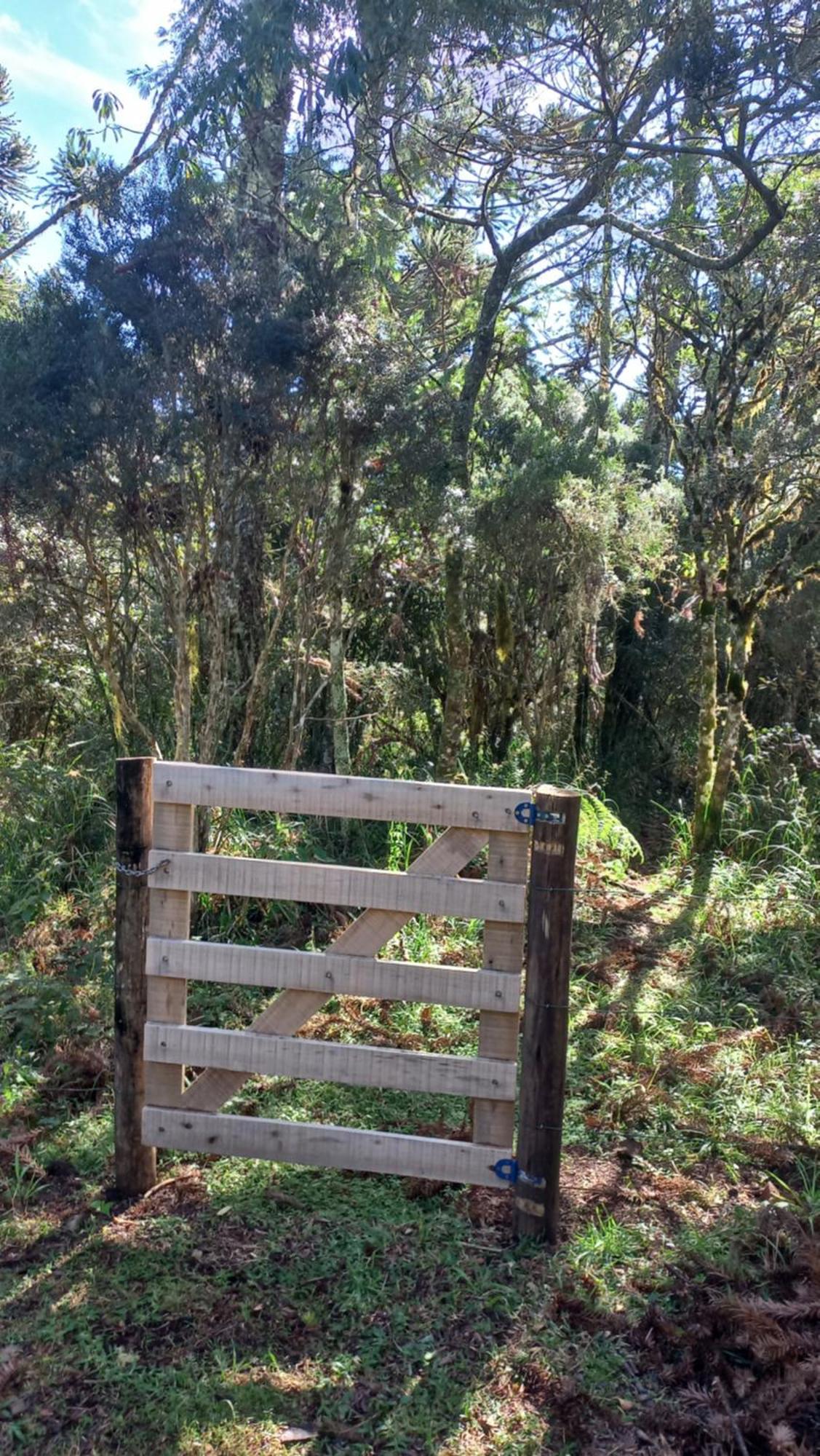 Cabana Na Floresta Rincao Do Fortaleza Cambará エクステリア 写真