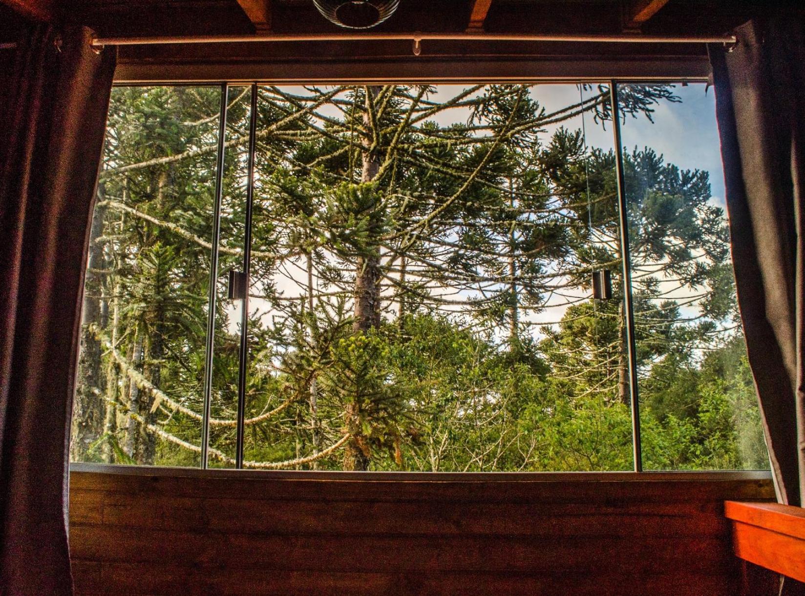 Cabana Na Floresta Rincao Do Fortaleza Cambará エクステリア 写真
