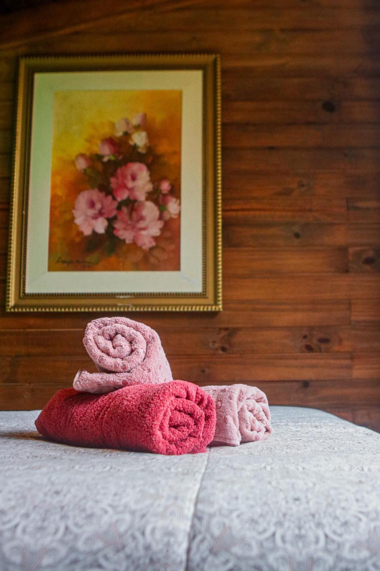 Cabana Na Floresta Rincao Do Fortaleza Cambará エクステリア 写真