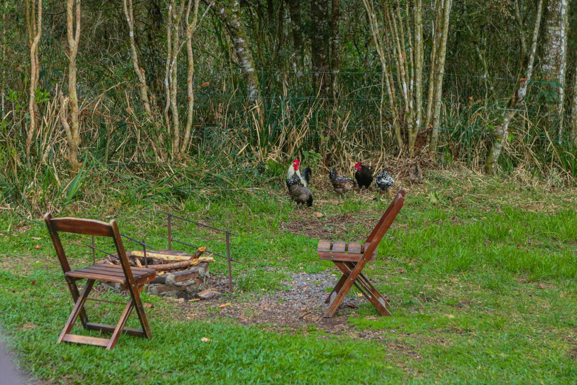 Cabana Na Floresta Rincao Do Fortaleza Cambará エクステリア 写真