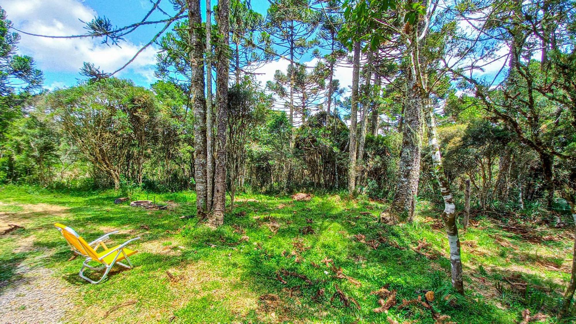 Cabana Na Floresta Rincao Do Fortaleza Cambará エクステリア 写真